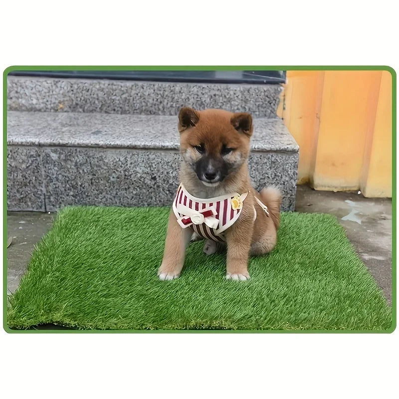 Tapete Lavable de Césped para Perros – Entrenamiento con Control de Olores