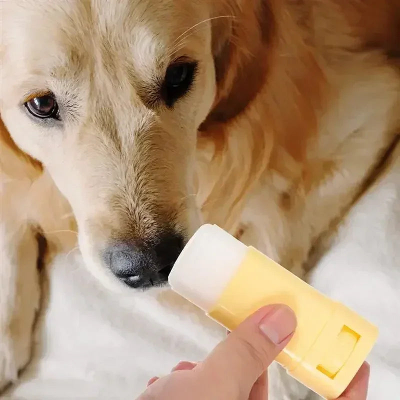 Bálsamo Hidratante para Patas y Nariz – Protección y Cuidado para Mascotas