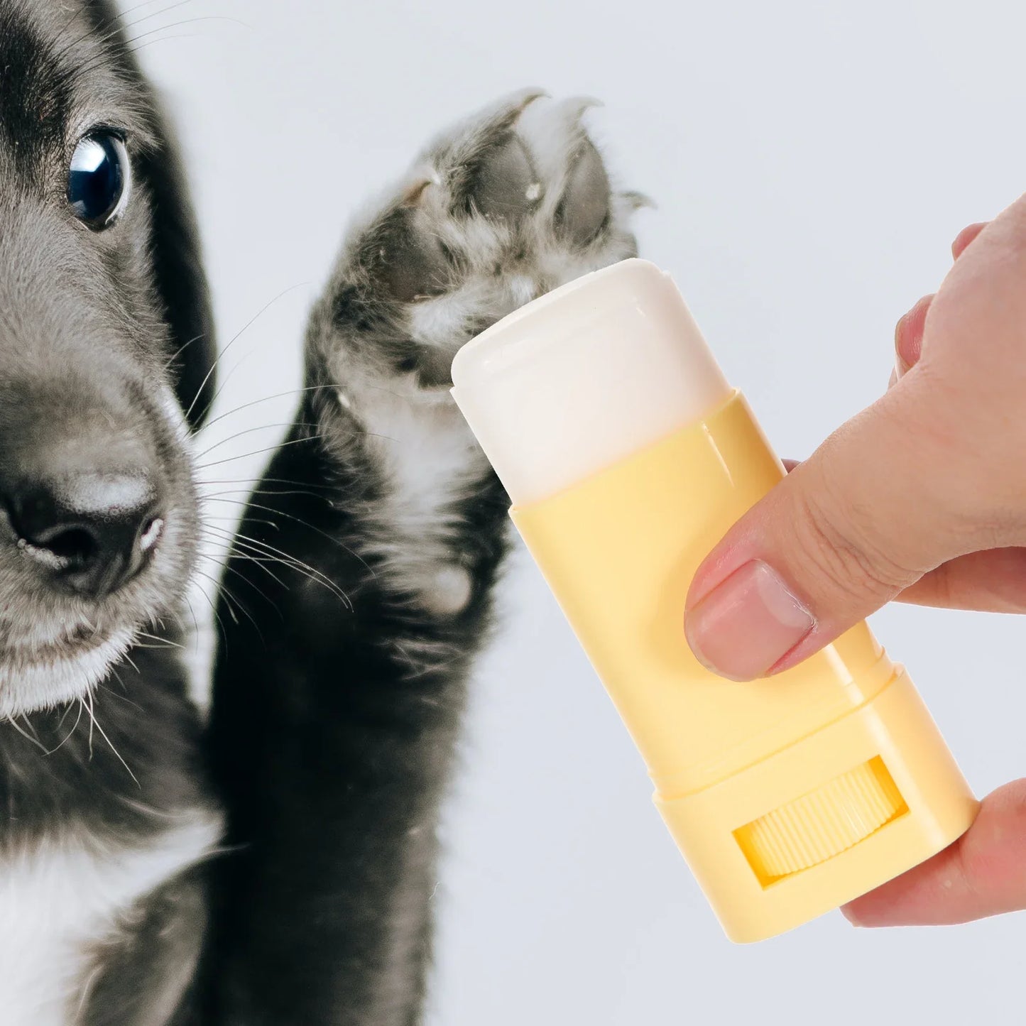 Bálsamo Hidratante para Patas y Nariz – Protección y Cuidado para Mascotas