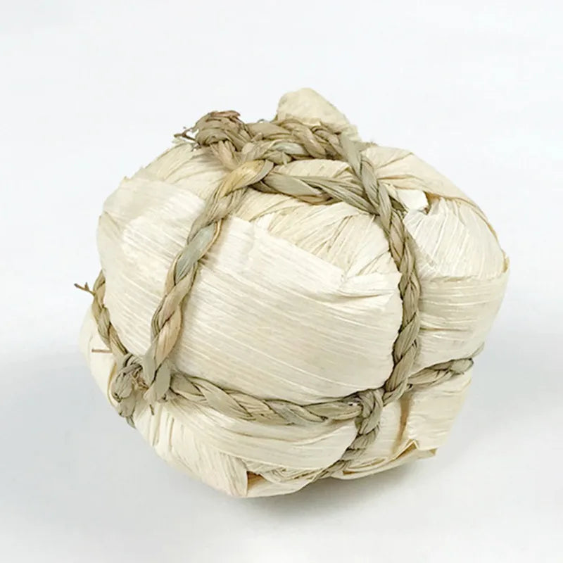 Juguetes para Molar y Masticar – Diversión y Cuidado Dental para Roedores 🌱