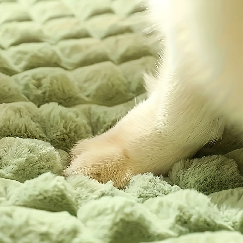 Colchoneta Suave para Perros – Protección Espinal y Descanso Todo el Año