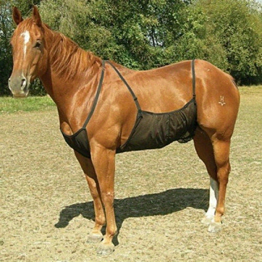 Protector de Barriga para Caballos – Prevención Contra Mordeduras e Insectos