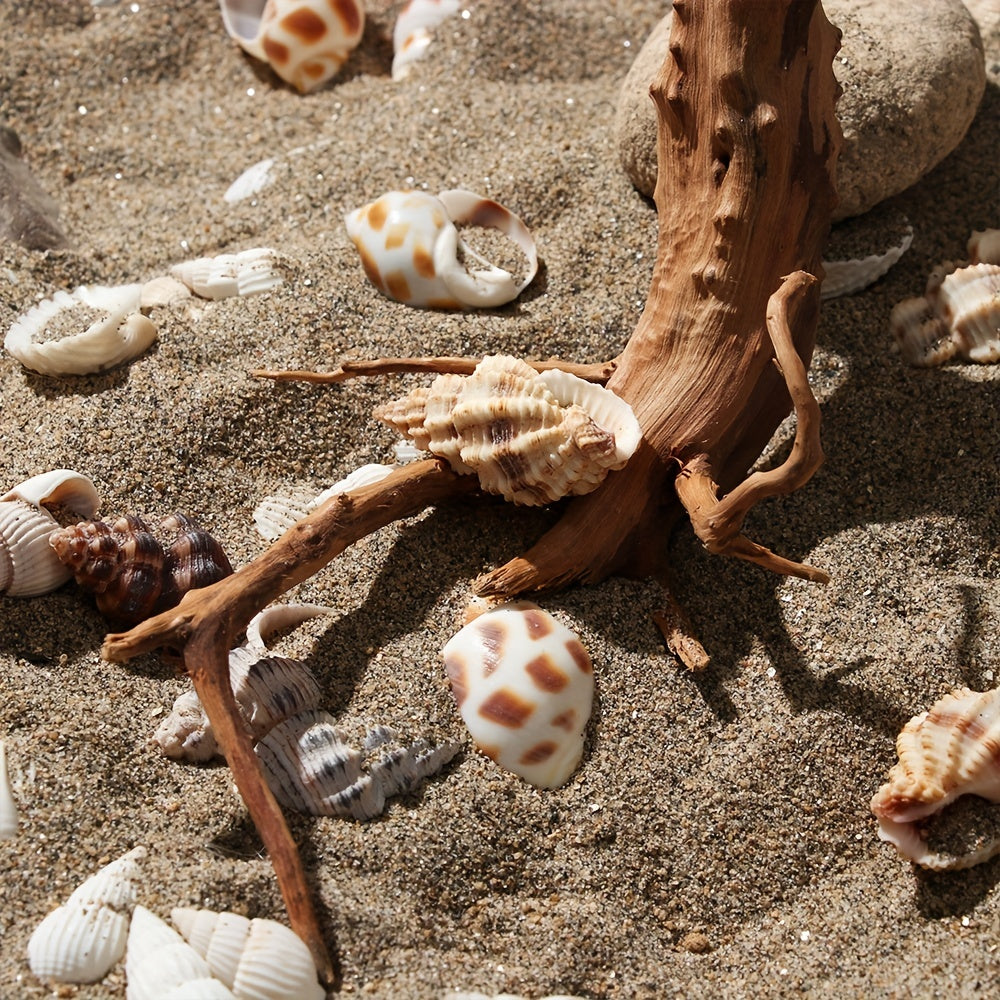 Tronco de Madera Natural para Acuarios y Terrarios – Decoración Única con Raíces Naturales