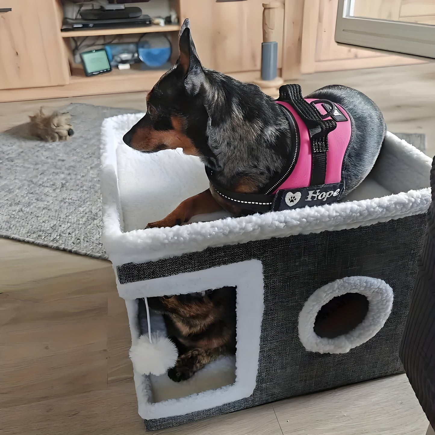 Cama Doble para tu gato –  Suave y Cálido para un descanso de lujo