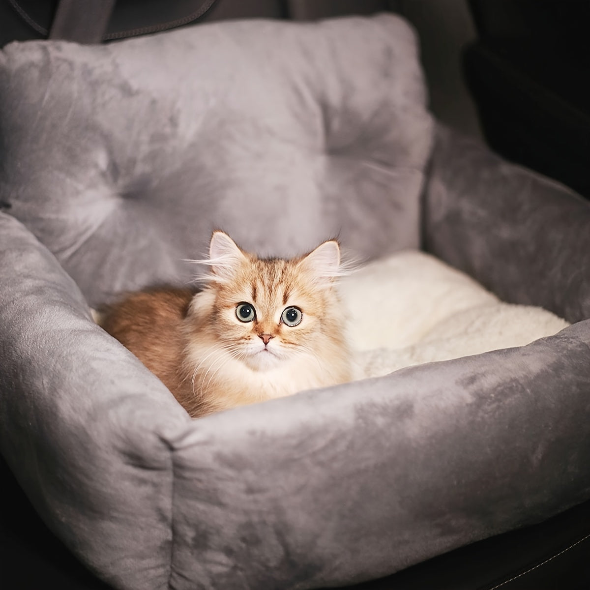 Asiento acolchado de Viaje para Perros – Seguridad y Confort en el Coche