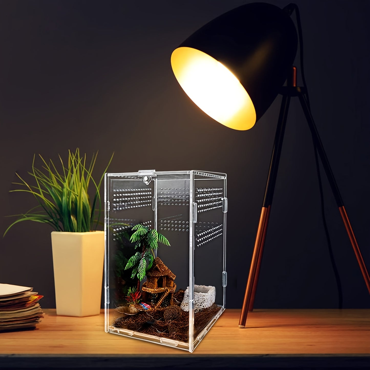 Terrario Transparente con Cierre Seguro – Hábitat Seguro para Reptiles Pequeños e insectos