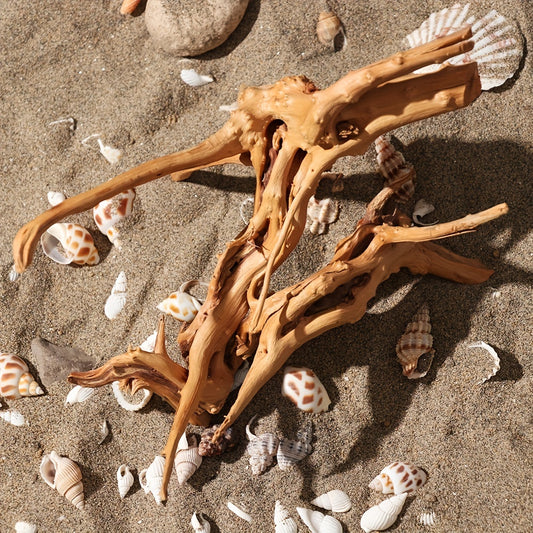 Tronco de Madera Natural para Acuarios y Terrarios – Decoración Única con Raíces Naturales