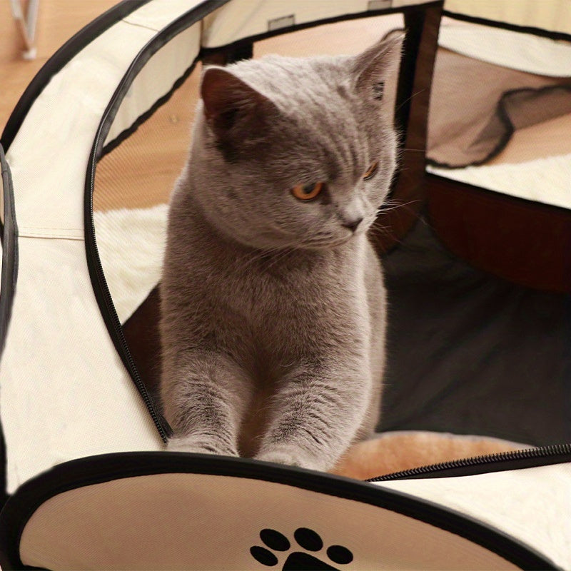 Casita Transparente y Transpirable para Gatos – Espacio Seguro y Acogedor