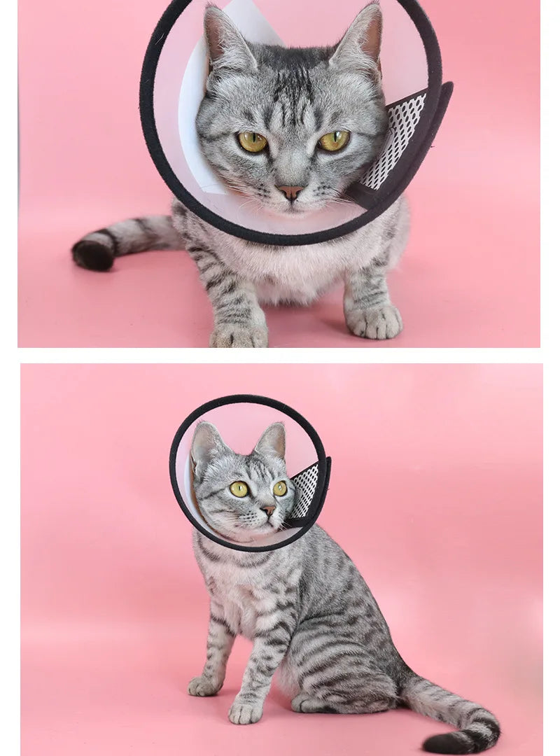 Collar Protector Elizabeth – Seguridad y Comodidad en el Postoperatorio