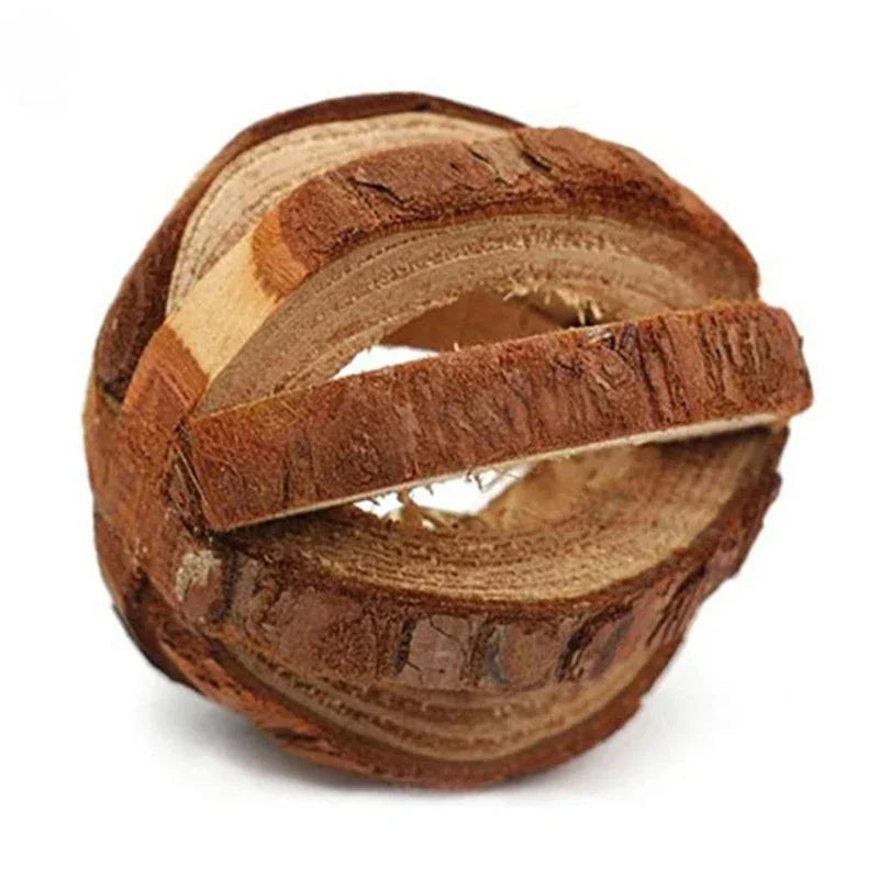 Juguetes para Molar y Masticar – Diversión y Cuidado Dental para Roedores 🌱