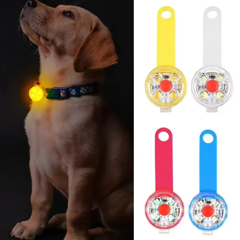 Collar de Seguridad LED Recargable – Protección y Visibilidad para tu Mascota