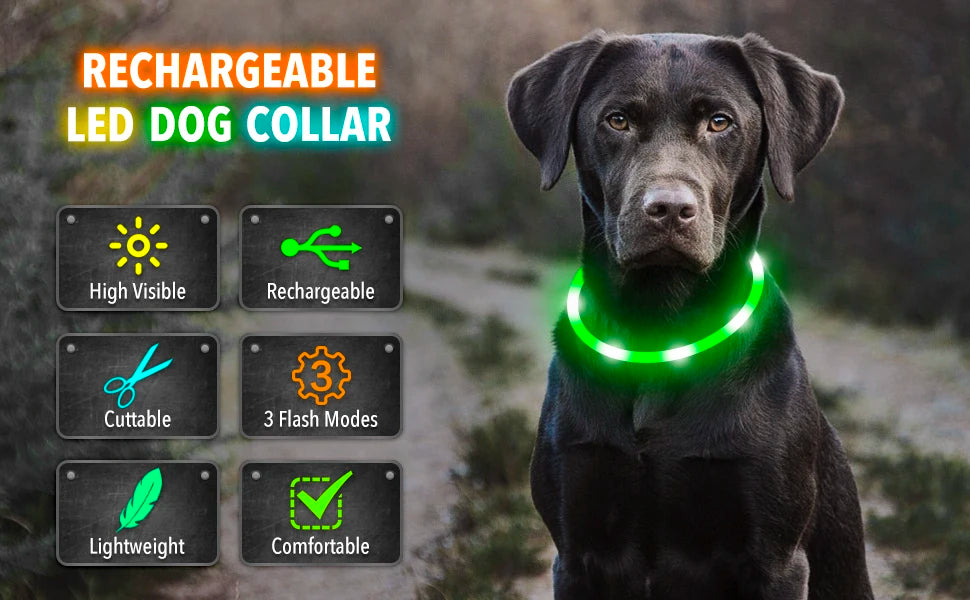 Collar Luminoso LED Recargable – Seguridad y Visibilidad para Tu Mascota
