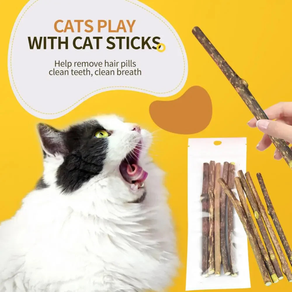 Snacks Naturales de Matatabi para Gatos – Cuidado Dental y Diversión Felina