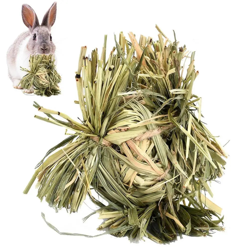 Bola y Anillo de Hierba Natural – Juguetes Masticables para Animales Pequeños 🌱