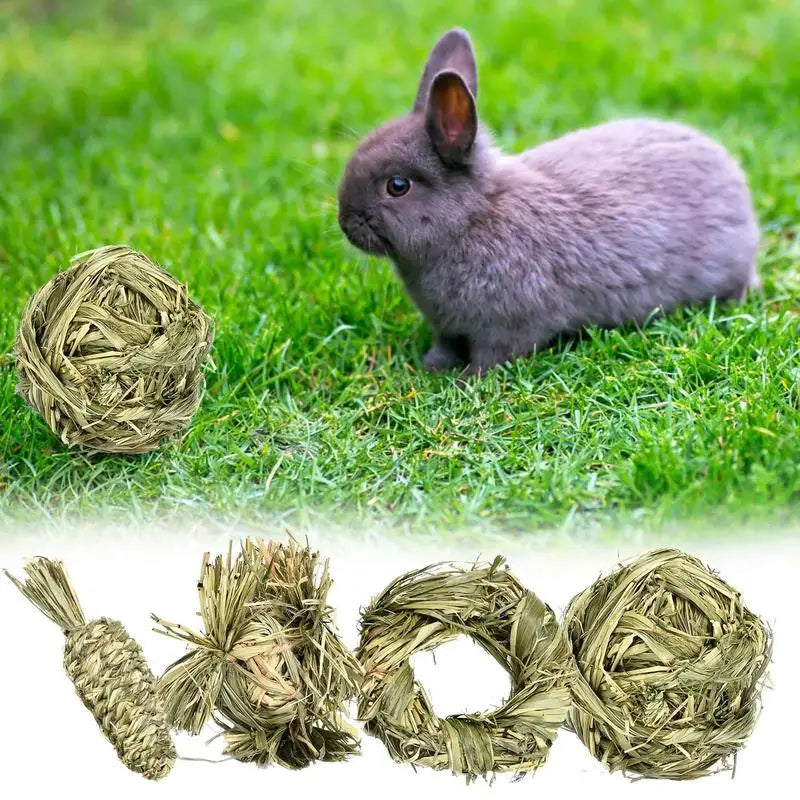 Bola y Anillo de Hierba Natural – Juguetes Masticables para Animales Pequeños 🌱