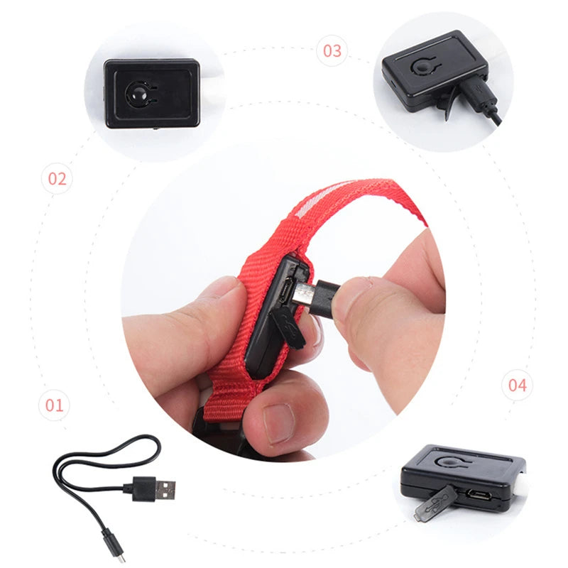 Collar Luminoso LED Recargable – Seguridad y Visibilidad para Tu Mascota
