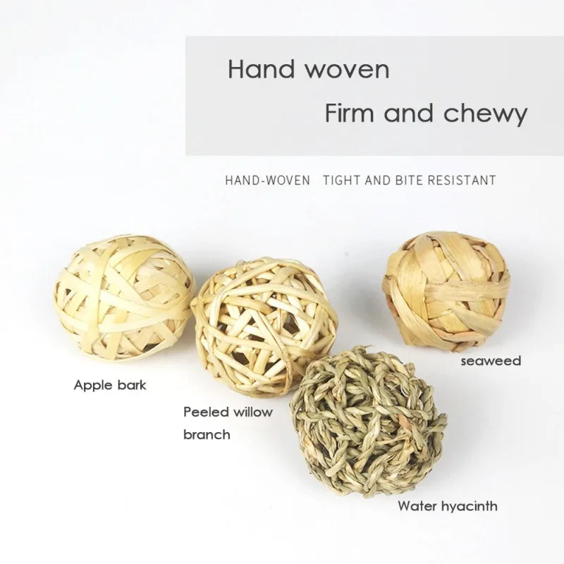 Juguetes para Molar y Masticar – Diversión y Cuidado Dental para Roedores 🌱