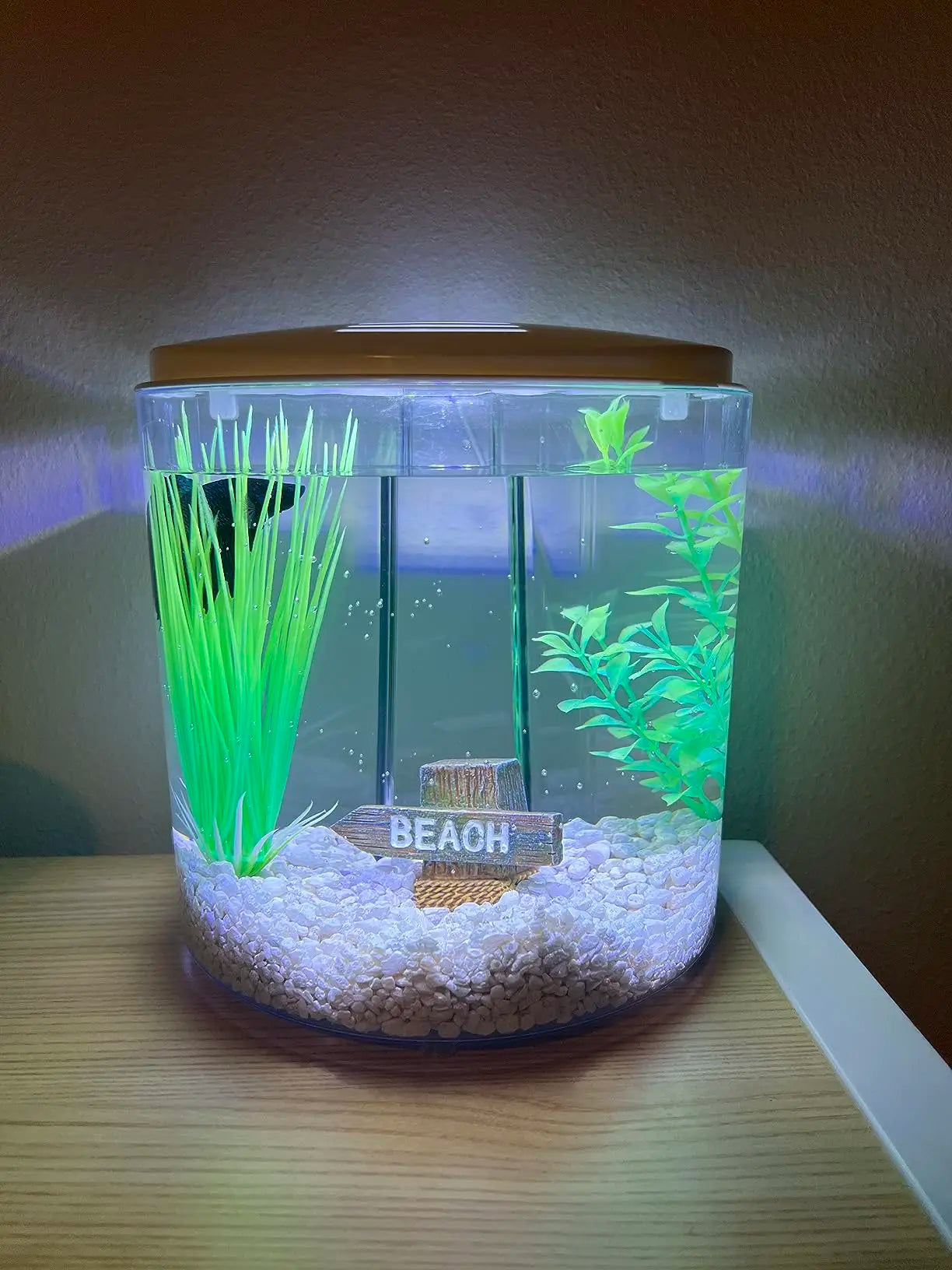 Acuario Mini de Escritorio – Diseño Compacto con Luz LED y Filtro Incorporado