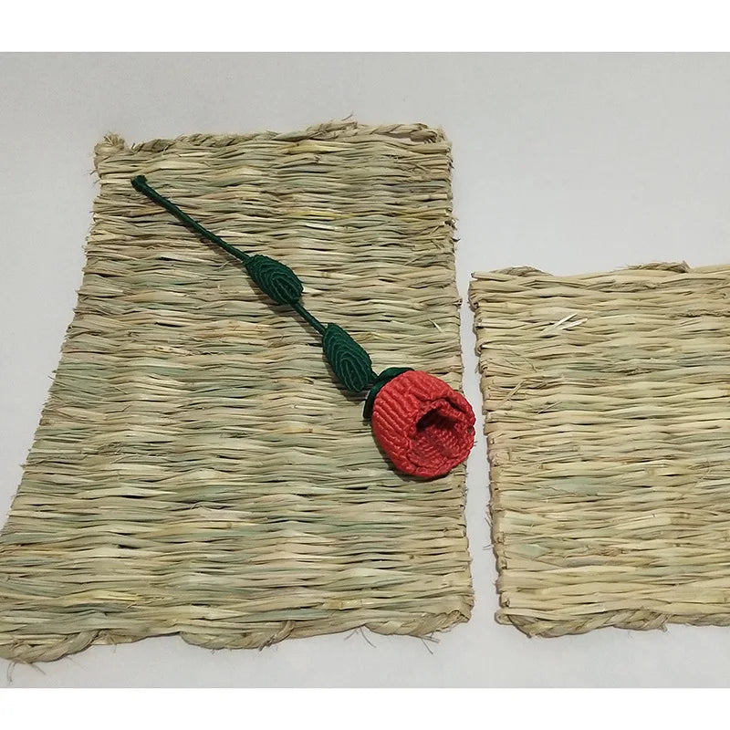 Esterilla de Paja para Roedores – Comodidad y Protección en su Descanso