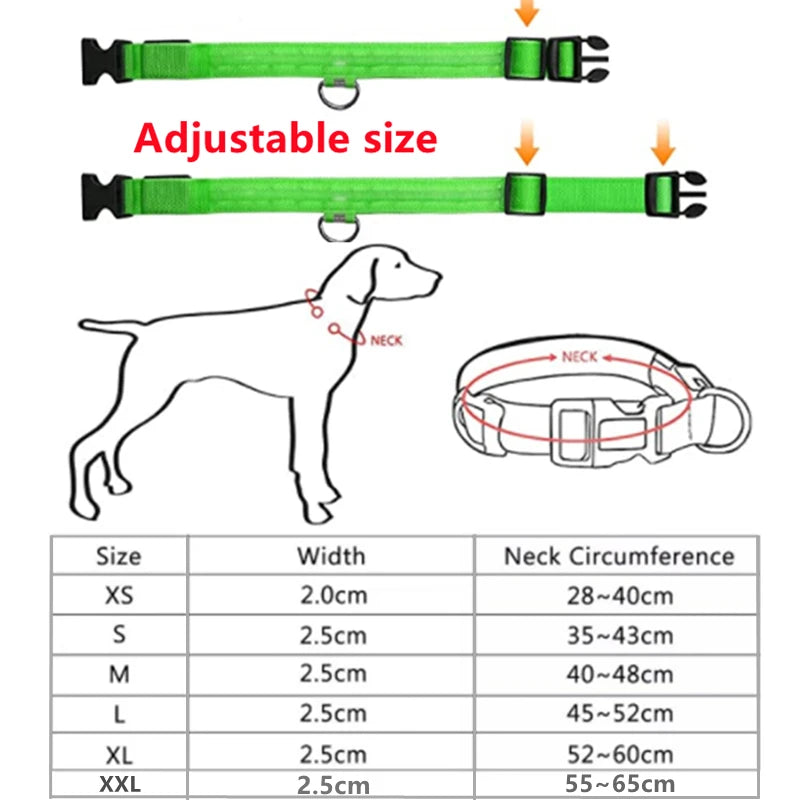 Collar Luminoso LED Recargable – Seguridad y Visibilidad para Tu Mascota
