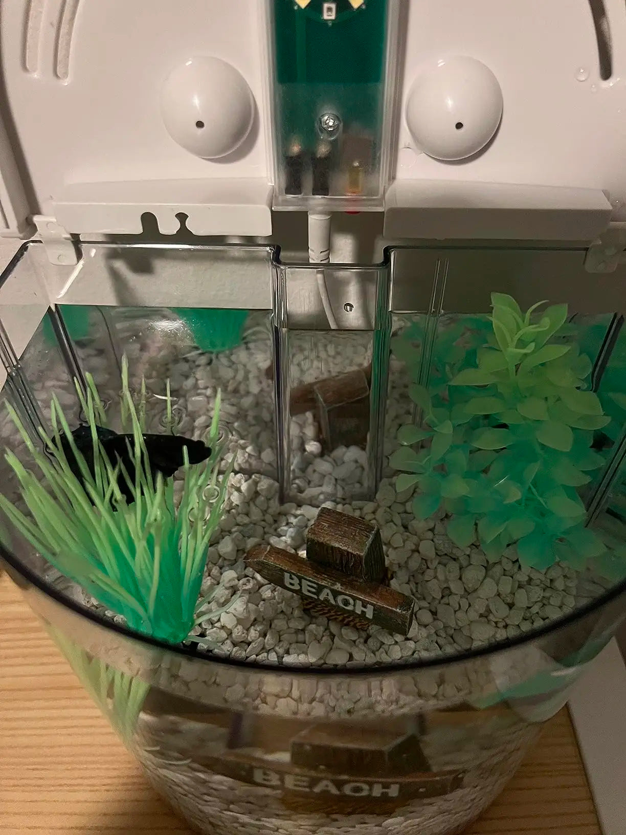 Acuario Mini de Escritorio – Diseño Compacto con Luz LED y Filtro Incorporado