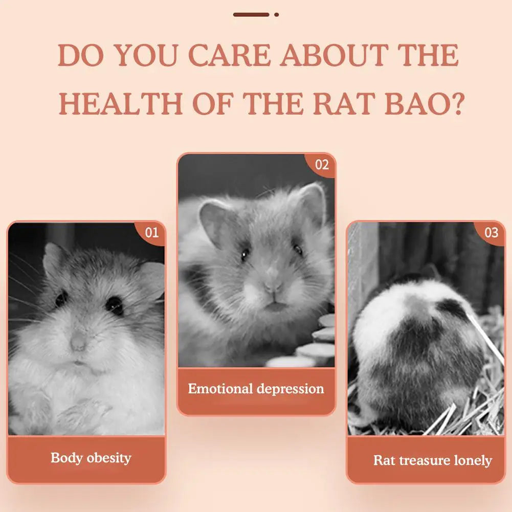 Rueda de Ejercicio Golden Bear – Estabilidad y Silencio en Cada Carrera