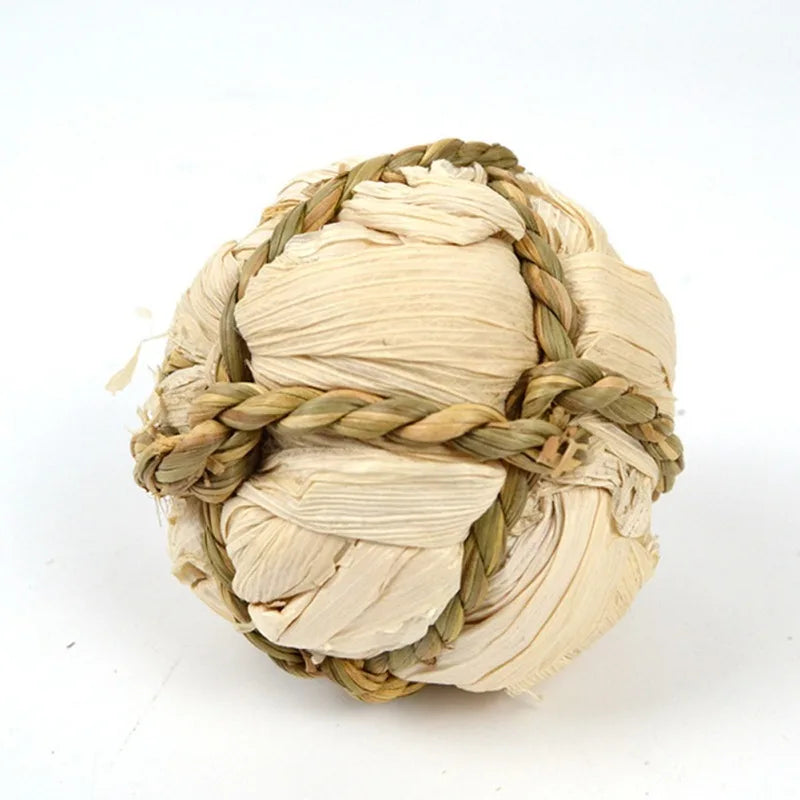 Juguetes para Molar y Masticar – Diversión y Cuidado Dental para Roedores 🌱