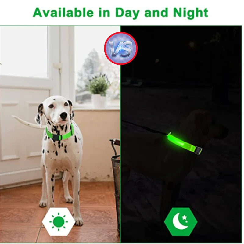Collar Luminoso LED Recargable – Seguridad y Visibilidad para Tu Mascota