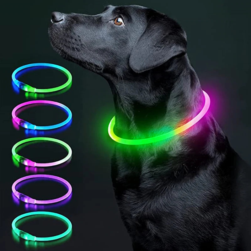 Collar Luminoso LED Recargable – Seguridad y Visibilidad para Tu Mascota