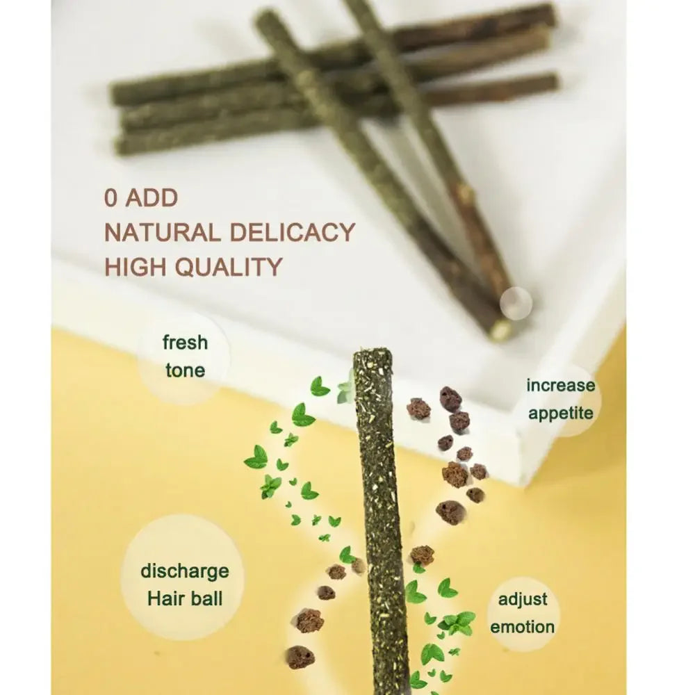 Palo dentífrico para Gatos Natural – Diversión y Cuidado Dental para tu Felino