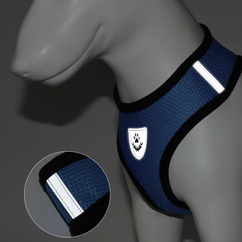 Arnés Ajustable para Gatos – Seguridad y Comodidad en Cada Paseo