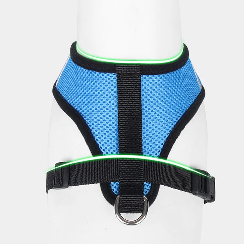 Arnés Ajustable para Gatos – Seguridad y Comodidad en Cada Paseo