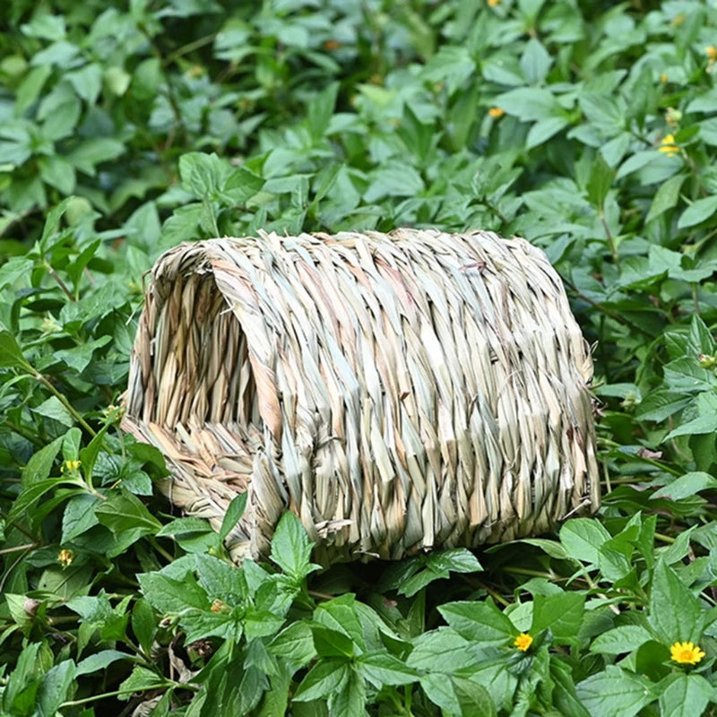 Túnel de Hierba para Conejos – Espacio de Juego y Descanso Natural 🌱