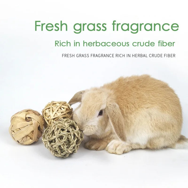 Juguetes para Molar y Masticar – Diversión y Cuidado Dental para Roedores 🌱