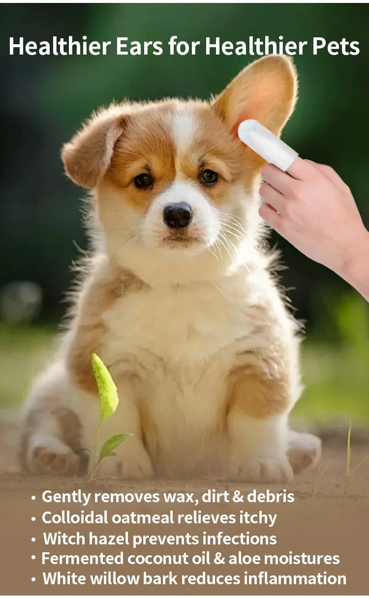 Toallitas para Limpieza de Oídos – Cuidado y Protección Auditiva para Mascotas