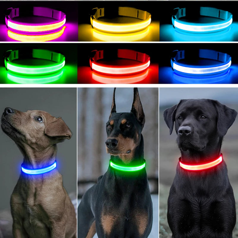 Collar Luminoso LED Recargable – Seguridad y Visibilidad para Tu Mascota