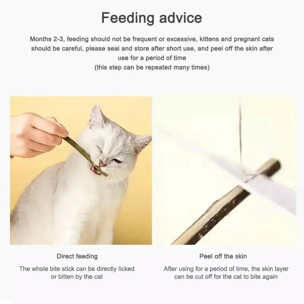 Palo dentífrico para Gatos Natural – Diversión y Cuidado Dental para tu Felino