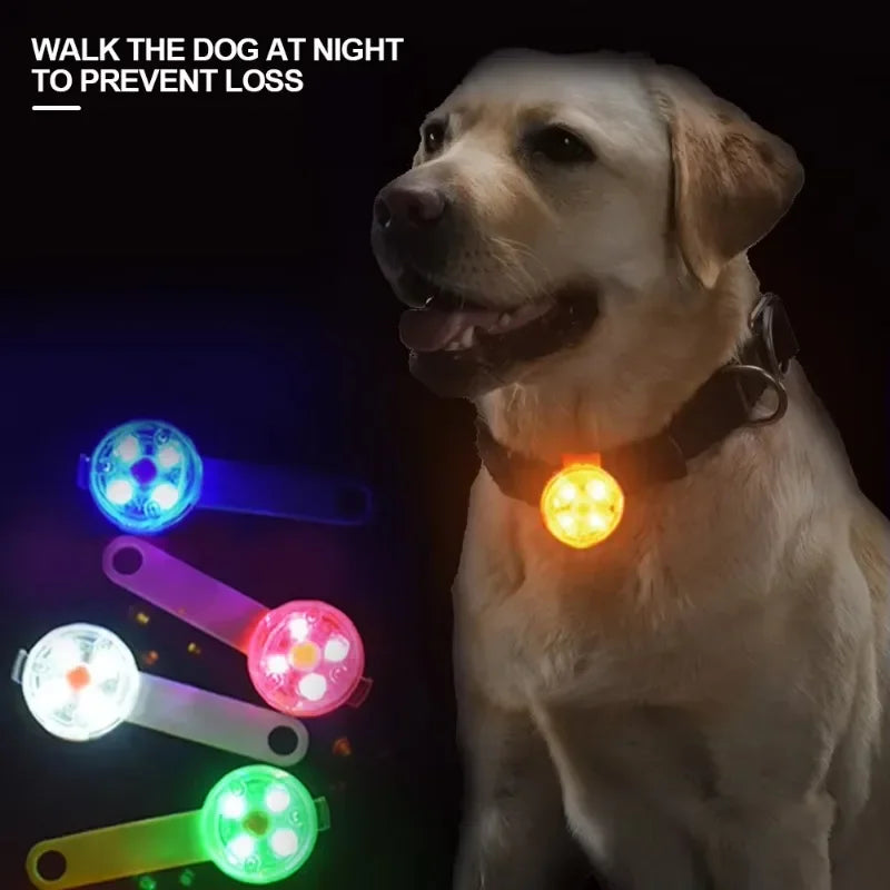 Collar de Seguridad LED Recargable – Protección y Visibilidad para tu Mascota