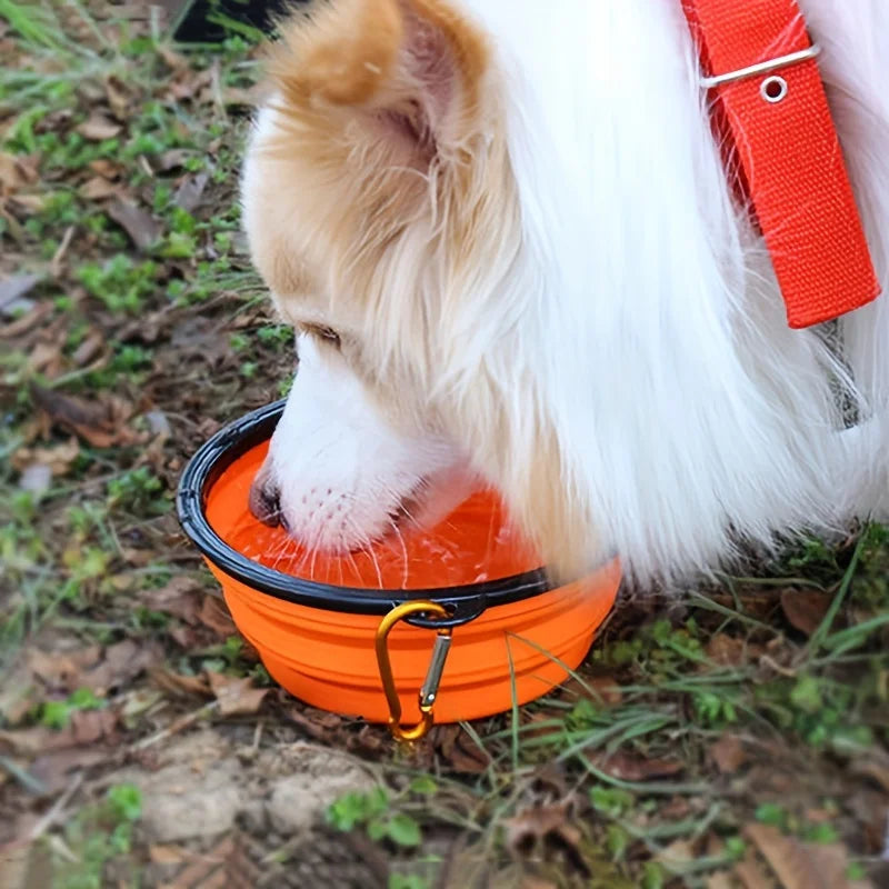 Cuenco Plegable para Mascotas – Comodidad y Sostenibilidad en Cada Viaje