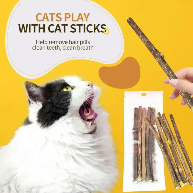 Snacks Naturales de Matatabi para Gatos – Cuidado Dental y Diversión Felina