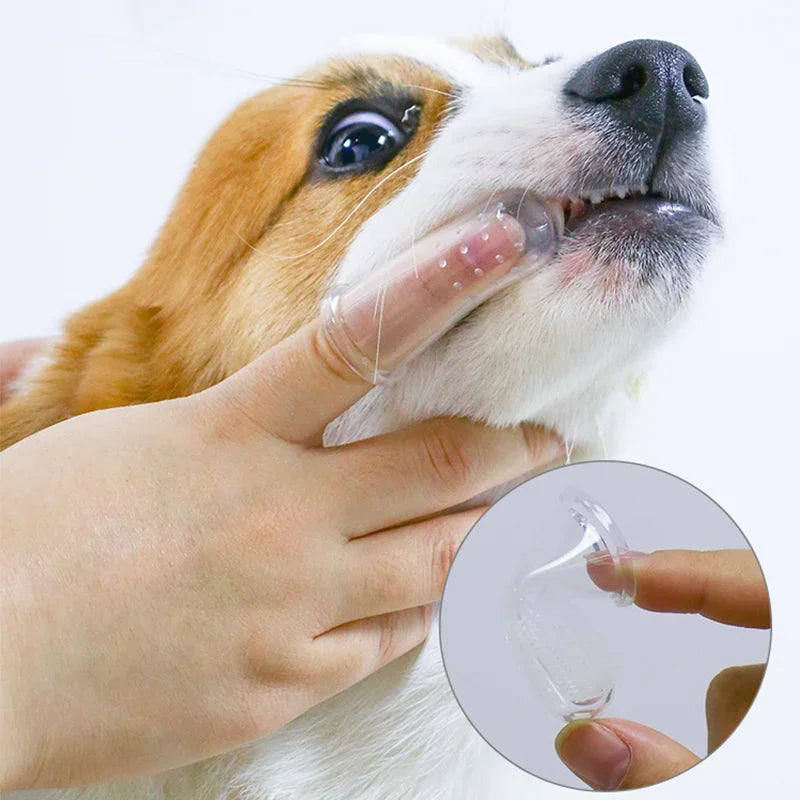 Cepillo de Dientes Súper Suave para Mascotas – Cuidado Dental sin Estrés