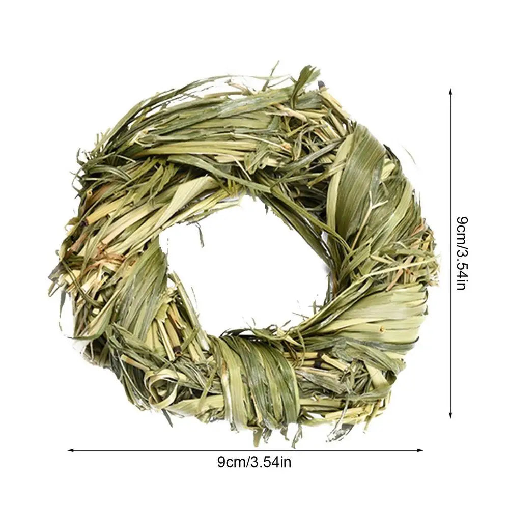 Bola y Anillo de Hierba Natural – Juguetes Masticables para Animales Pequeños 🌱