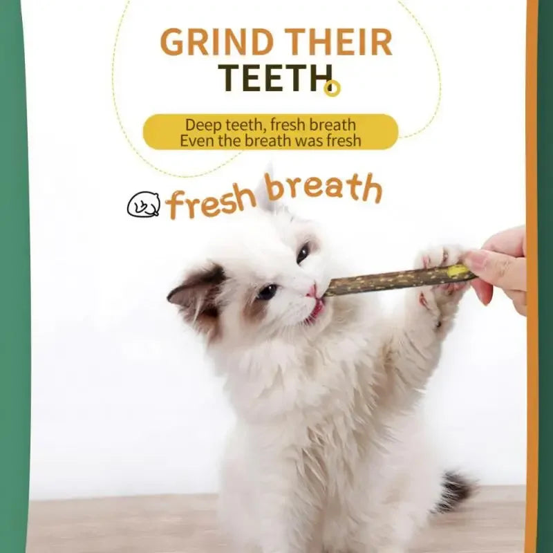 Snacks Naturales de Matatabi para Gatos – Cuidado Dental y Diversión Felina