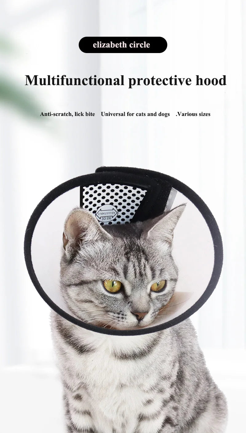 Collar Protector Elizabeth – Seguridad y Comodidad en el Postoperatorio