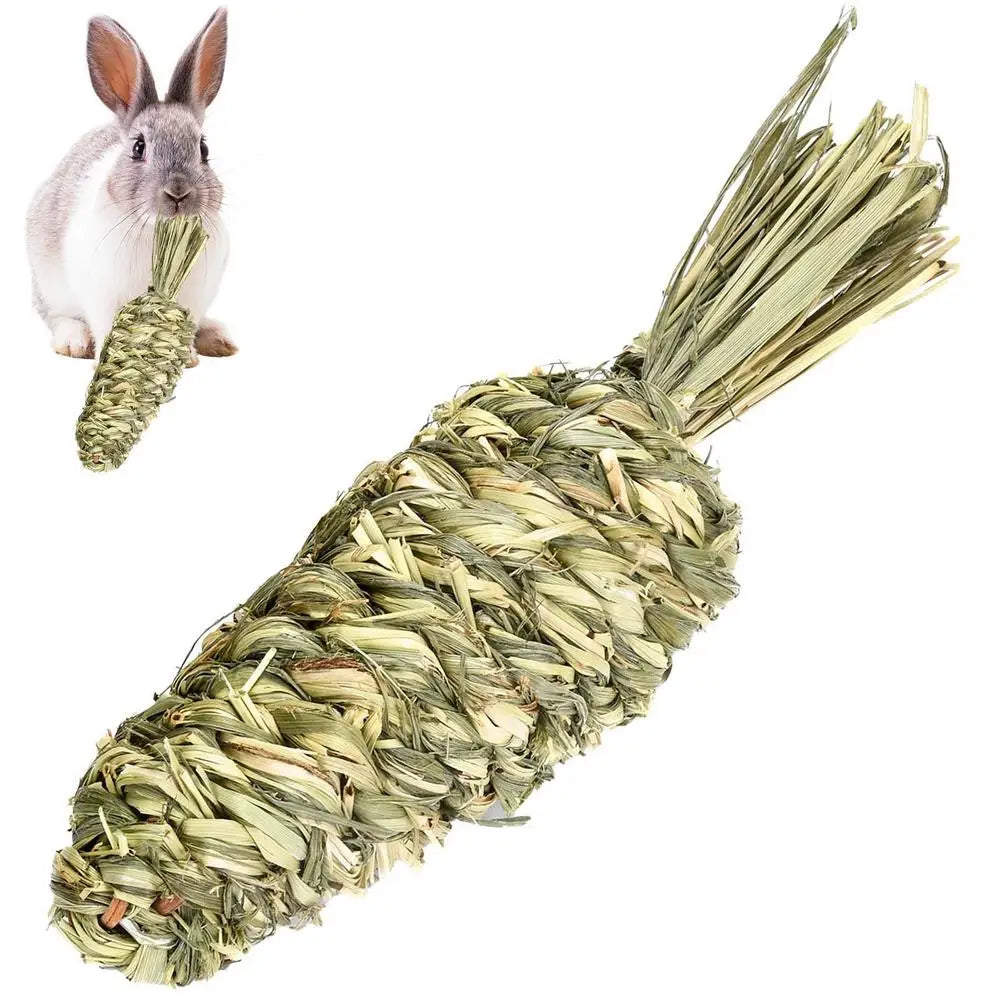 Bola y Anillo de Hierba Natural – Juguetes Masticables para Animales Pequeños 🌱