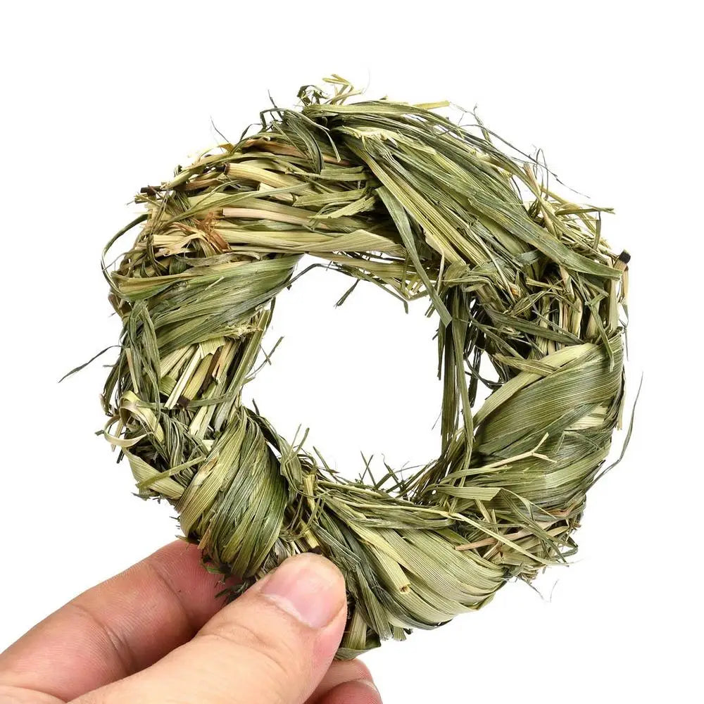 Bola y Anillo de Hierba Natural – Juguetes Masticables para Animales Pequeños 🌱