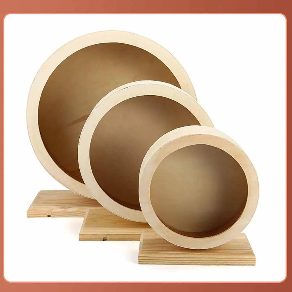 Rueda de Ejercicio Golden Bear – Estabilidad y Silencio en Cada Carrera