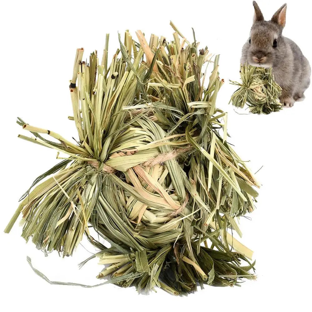 Bola y Anillo de Hierba Natural – Juguetes Masticables para Animales Pequeños 🌱