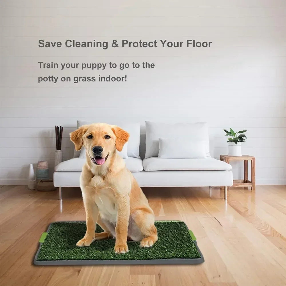 Inodoro de Césped para Perros – Orinal con Hierba Artificial