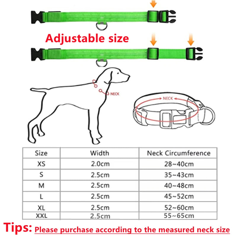 Collar Luminoso LED Recargable – Seguridad y Visibilidad para Tu Mascota